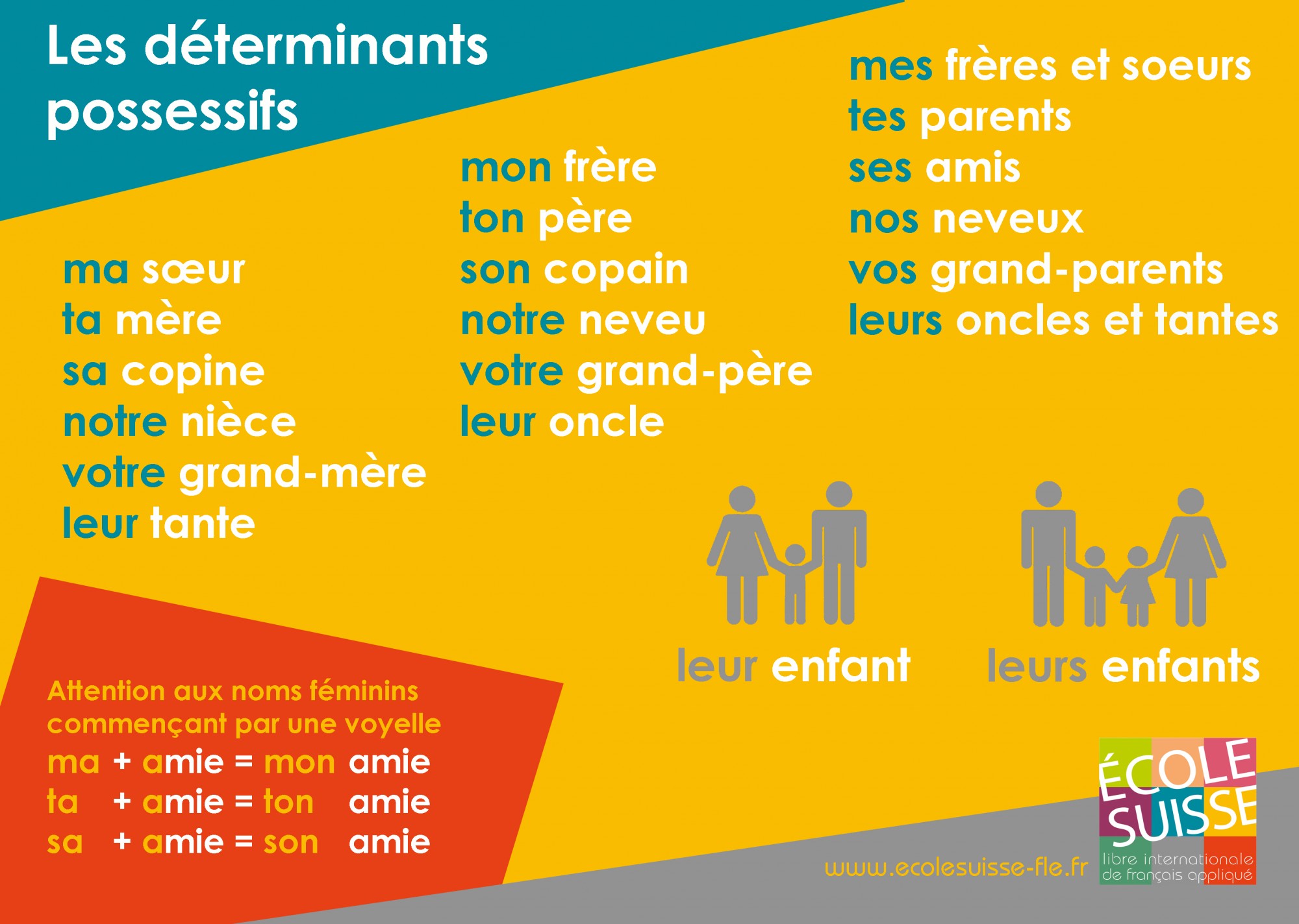 Liste Des Déterminant Possessif FLE en ESO: La famille et les adjectifs possessifs